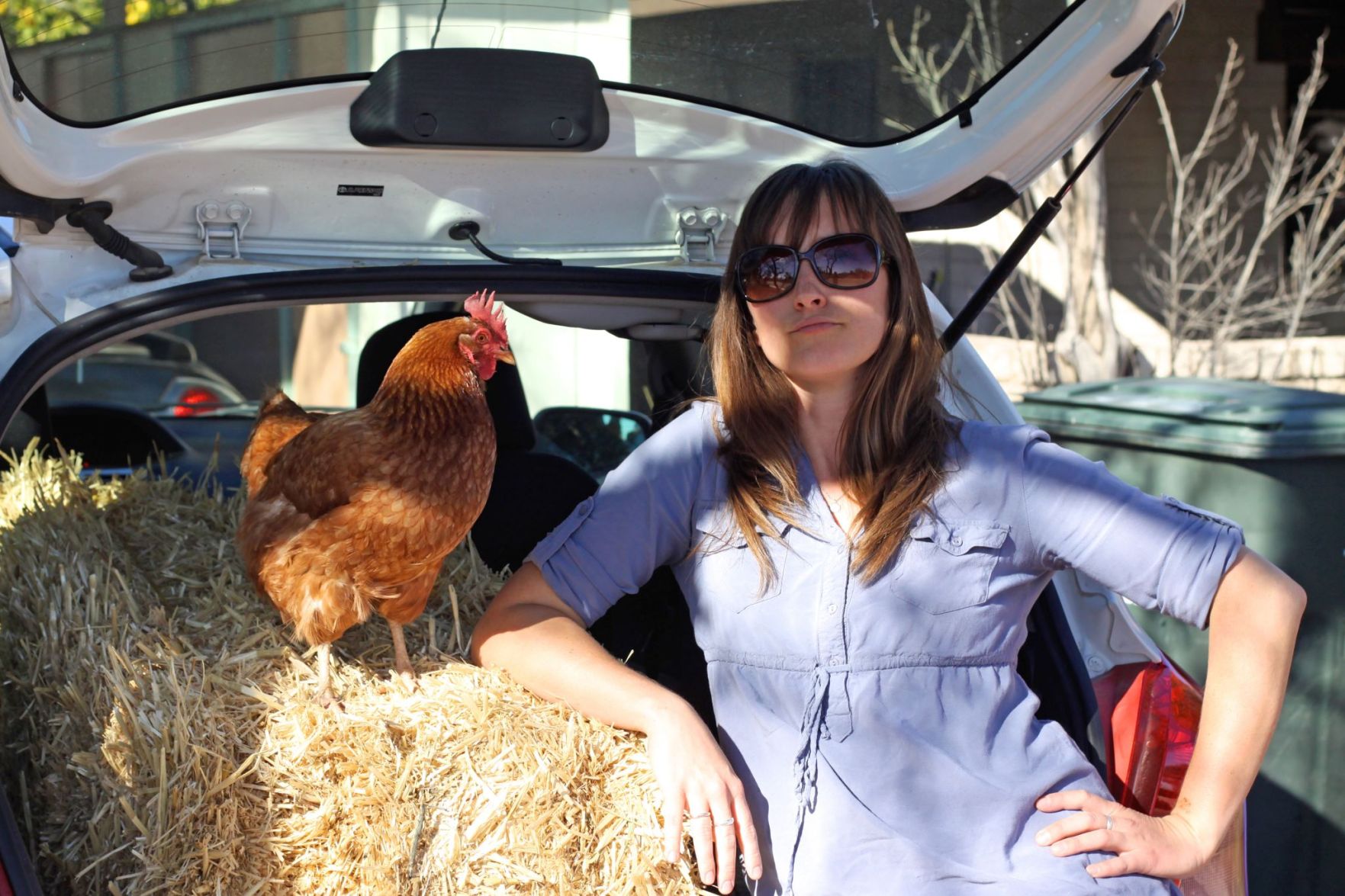 Readers show their chickens